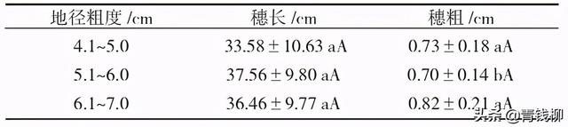 浙江景宁香榧大苗定砧嫁接技术试验