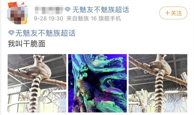 分不清小熊猫和小浣熊，导致了一场互联网“干脆面”之争