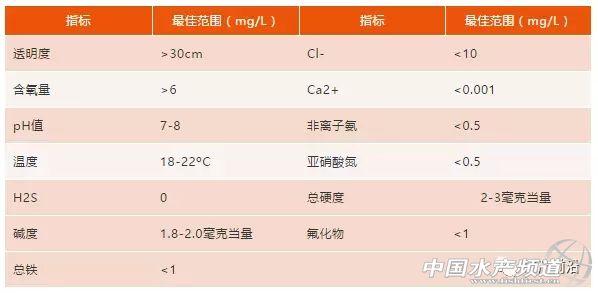 鲟鱼养殖亩纯利润3.5万以上，新手入门必读秘籍