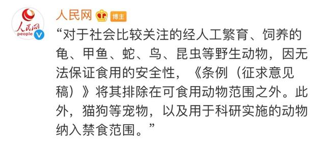 我国首个禁食猫狗的法案通过了！深圳，你真棒！