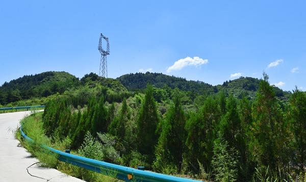 山西秀河种植：五载造“绿”路 扮靓泥河村