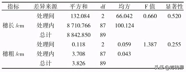 浙江景宁香榧大苗定砧嫁接技术试验