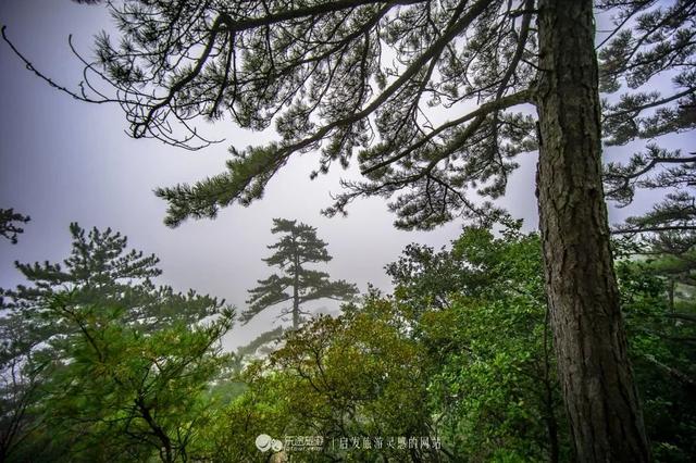 甘肃灵感之旅 · 天水｜行摄派 陇上光影