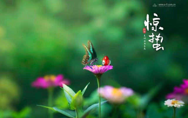 雷动风行惊蛰户——传统24节气之惊蛰诗词