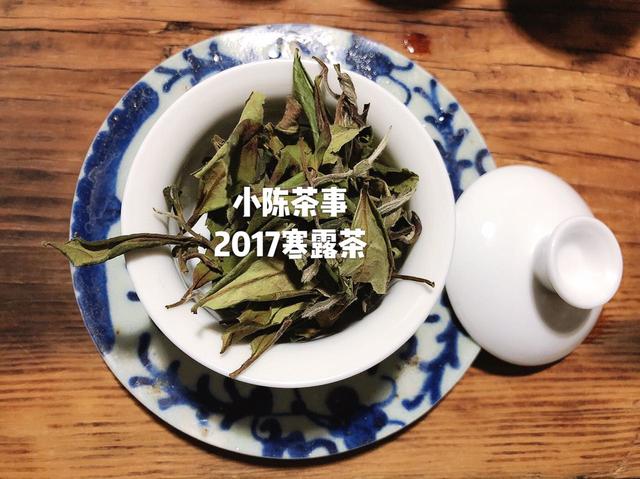 具备这3个条件，才能成为一名合格的白茶发烧友！