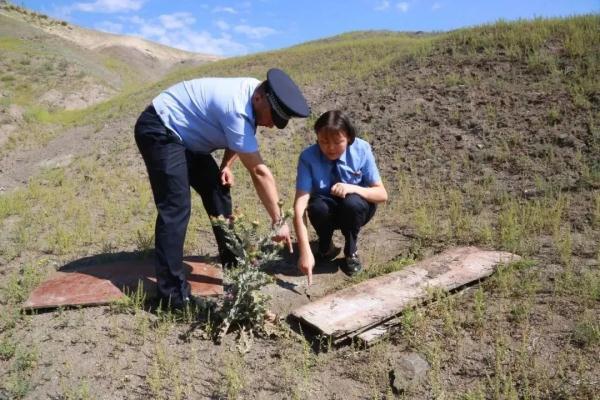 每只都很珍贵！检察保护一路同行 野生蝎子回归自然