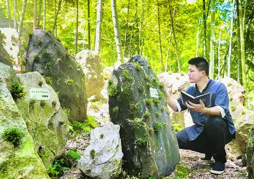 刘波：用生命“根”延石斛