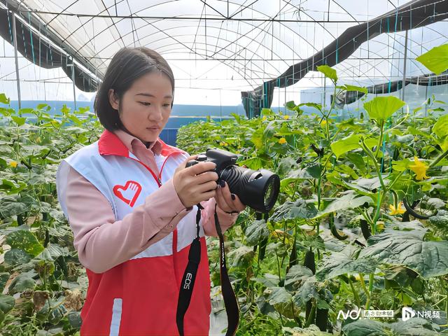 西部计划20年，1.4万名广东青年奔赴祖国最需要的地方