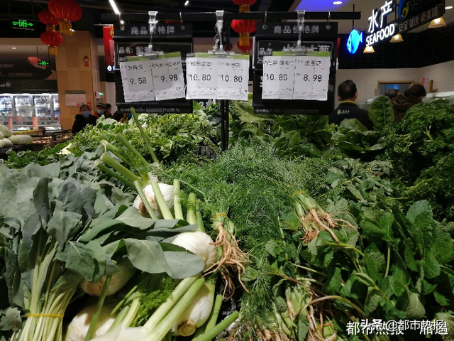 雪里红、苦菊、板蓝根叶、芝麻菜、球形茴香、茴香菜、法香菜……重庆市场出现“新蔬菜”，你认识几种？