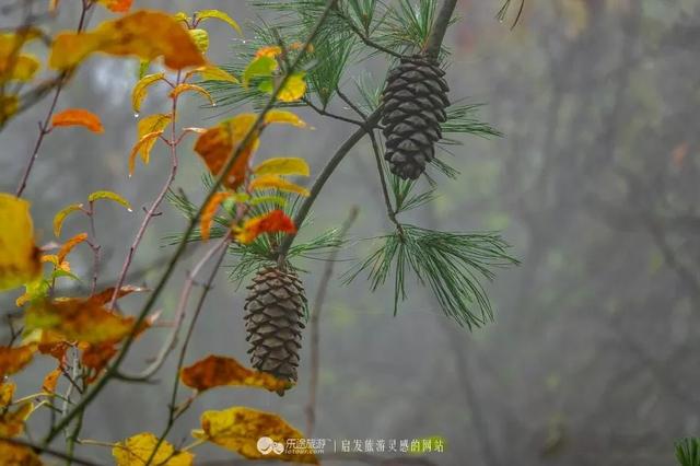 甘肃灵感之旅 · 天水｜行摄派 陇上光影