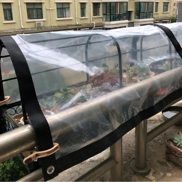 新手养多肉植物需要掌握的8点，别乱养，多看些老玩家的总结