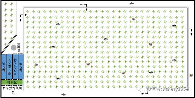 稻田镶嵌流水槽，养殖尾水处理不再是难题