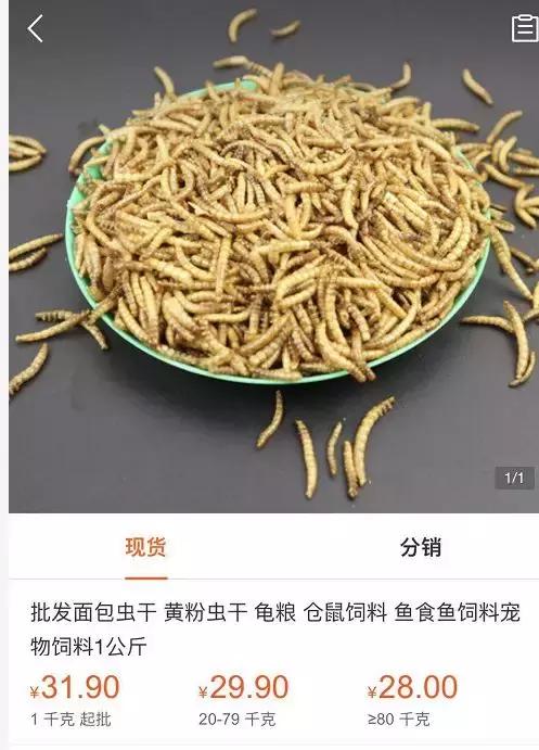 乐施昆虫粮的12个关于低蛋白猫狗粮的谎言。