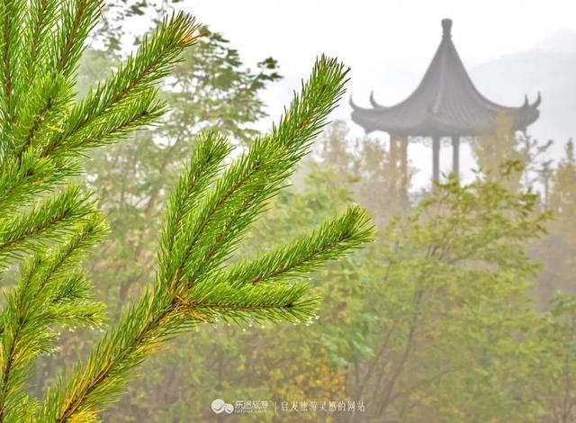 甘肃灵感之旅 · 天水｜行摄派 陇上光影