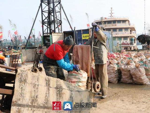 好品山东丨小海鲜变身抢手货，日照岚山构建海虹产业全产业链发展新格局