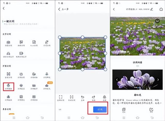 趣味篇！分享三款拍照识别植物工具，欣赏花草先从认识开始