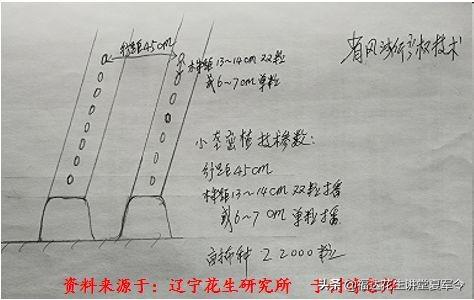 花生起垄的具体数据分析与起垄的5大要求，种植花生收藏转发版