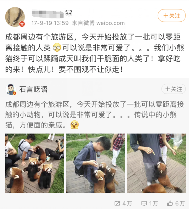 分不清小熊猫和小浣熊，导致了一场互联网“干脆面”之争