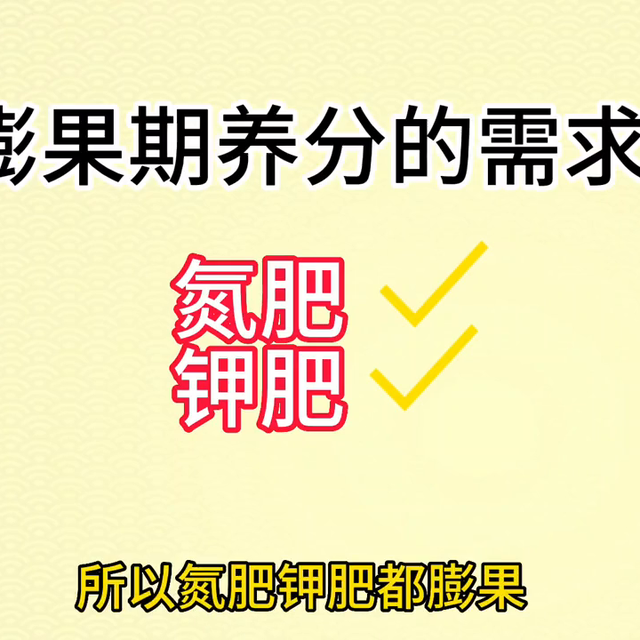 【视频】在膨果期，如何施用氮肥、钾肥和磷肥？