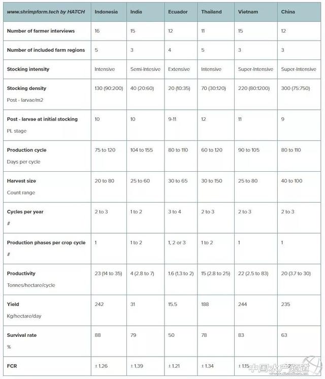 六大养虾国基础数据出炉，中国养殖密度最高，但存活率偏低