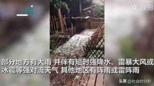 吉林省鹌鹑养殖(吉林永吉遇冰雹侵袭 有的地方只下冰粒不下雨“鹌鹑蛋”转眼铺满地)