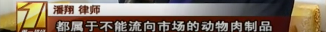 我国首个禁食猫狗的法案通过了！深圳，你真棒！