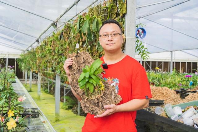 科技赋能广东小镇，带来不一样的蓝莓、饺子、中药、蝴蝶兰……