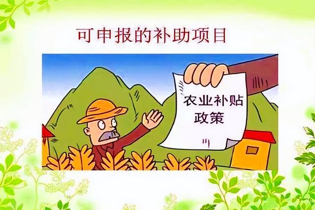 我国将提高对种地政策的“补贴”？农民可以申请哪些？领多少？