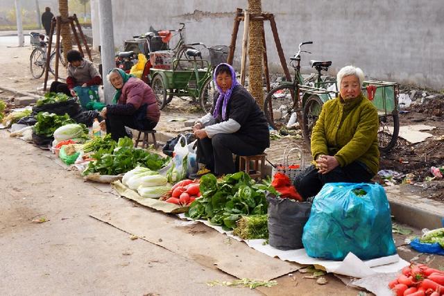 在家种植无公害蔬菜，不出门就能把钱赚