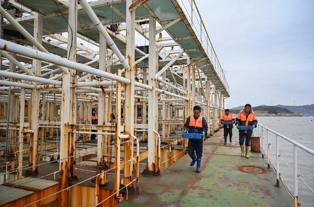 （经济）福建连江：探索鲍鱼深远海养殖模式