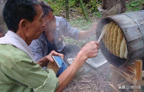 圆桶养蜂，如何更换蜂王？老蜂农：巧用取蜜时间