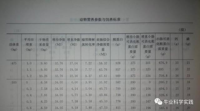 《中国实践肉牛饲养技术标准》的价值与意义