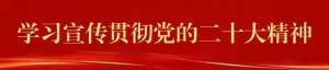 钢丝围栏网养殖野免(非法狩猎拘 69只野兔被放归自然)