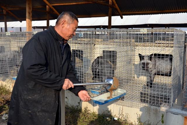 野生动物养殖产业链秘密：毛皮有人收 肉送到肉联厂