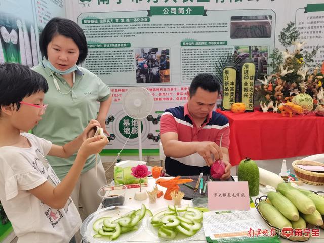 上千个蔬菜新品种亮相！2023年中国（广西）-东盟蔬菜新品种大会开幕