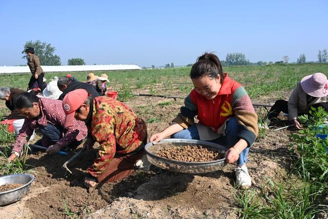 药材种植补贴政策来了，怎么补贴，每亩补贴多少钱？你来了解一下