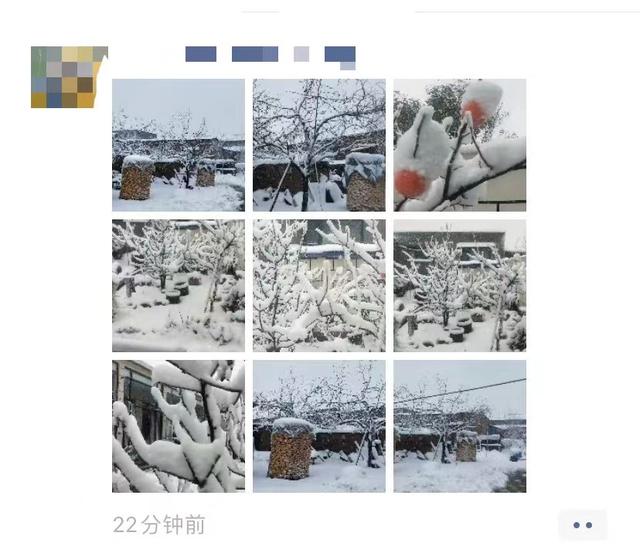 山东初雪来了，目前这里下最大，菜农们快行动