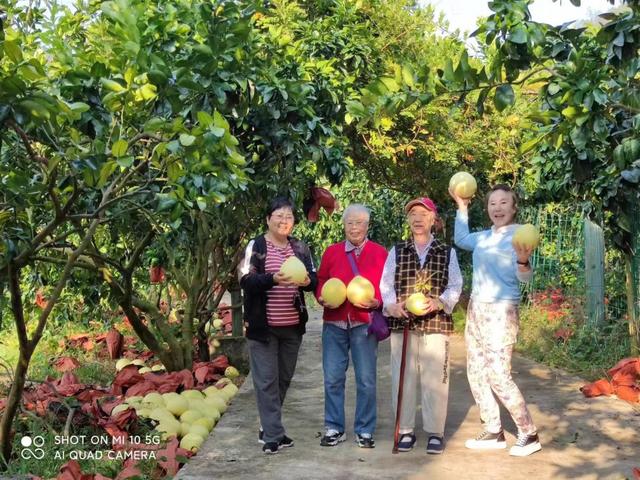 群众致富有奔头｜贵州罗甸寓农山谷成为众多游客的冬季避寒打卡地