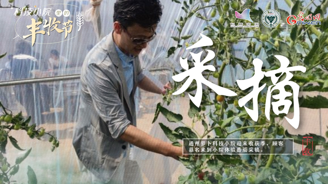 大学生扎根结硕果，黑花生变身“金豆豆”