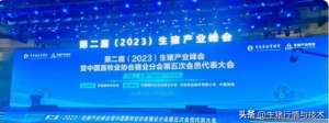 中国养殖规模(全国生猪规模养殖比重已占651%，散户当下与未来如何)