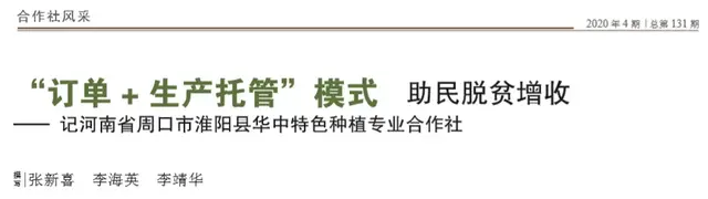 “订单 + 生产托管”模式 助民脱贫增收——记河南省周口市淮阳县华中特色种植专业合作社