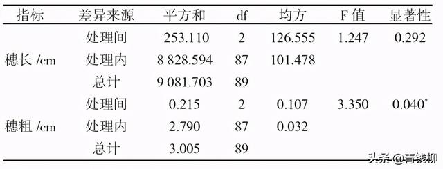 浙江景宁香榧大苗定砧嫁接技术试验