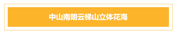 11000多株｜华南地区面积最大的黄花风铃木迎来颜值巅峰！