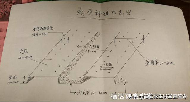 花生起垄的具体数据分析与起垄的5大要求，种植花生收藏转发版