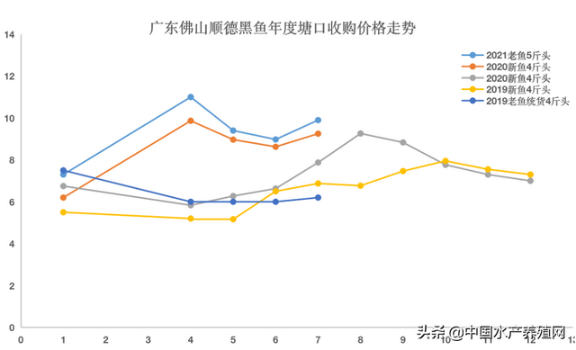 三年黑鱼价格稳步增长，市场需求不断扩大，养殖户要准确把握行情