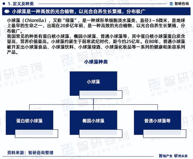 2023年小球藻行业发展现状、市场前景及投资方向报告