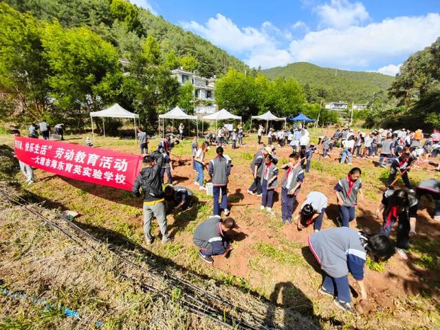 从生态农庄到社会实践教育基地 栖凤谷生态农场的“蝶变”之路