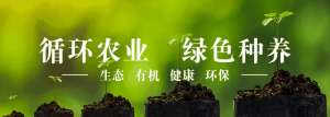 适合北方室外种植(户外天台种菜别错过生菜，教你简单种植方法，赶快学起来吧)