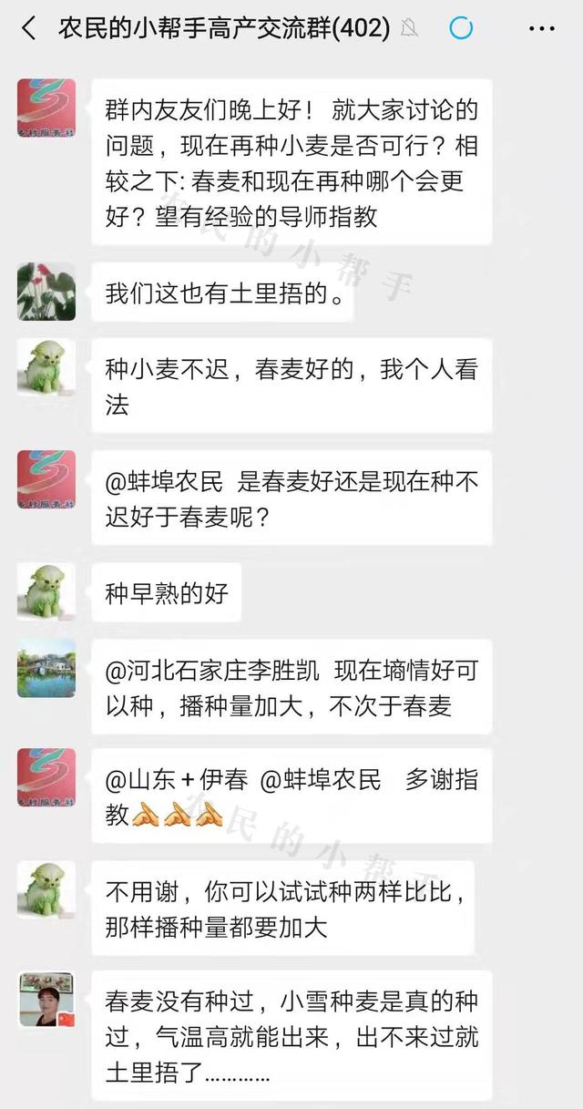 11月中下旬还能种植小麦吗？和种植春麦相比，哪种产量高？