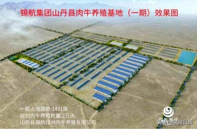 总投资15亿元！锡航农业山丹县10万头肉牛养殖基地建设项目开工